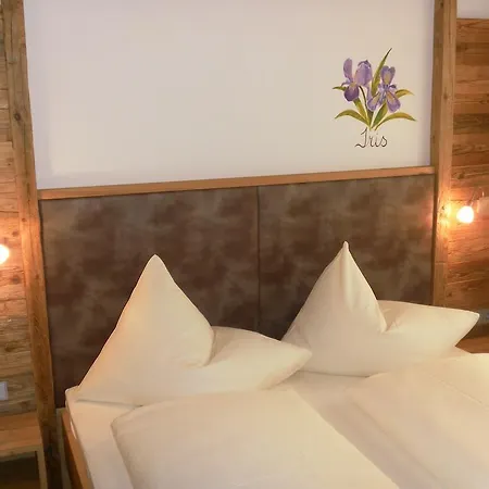 Apartment Alpenhit